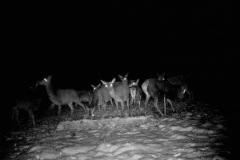 P12_T_TIME=4971,FG=442499072,FT=-1532821504,NIR=1,GM=0,CDS = 2,CT=1,EV=128,TY=59,PY=92,DY=23,GB=0xf,NY=160,AE(0,160,80,160,320),