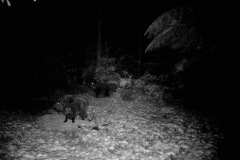 P12_T_TIME=1494,FG=442499072,FT=-1532821504,NIR=1,GM=0,CDS = 2,CT=1,EV=128,TY=59,PY=92,DY=22,GB=0x11,NY=160,AE(0,160,80,160,320)