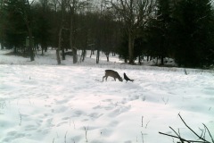 P12_T_TIME=7636,FG=65536000,FT=28377088,NIR=0,GM=1,CDS = 41,CT=64,EV=160,TY=3,PY=92,DY=110,GB=0x48,NY=128,AE(0,0,0,640,480),1