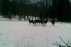 P12_T_TIME=1551,FG=65536000,FT=205848576,NIR=0,GM=1,CDS = 41,CT=64,EV=160,TY=19,PY=92,DY=97,GB=0x2d,NY=128,AE(0,0,0,640,480),1