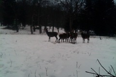 P12_T_TIME=7685,FG=65536000,FT=315883520,NIR=0,GM=1,CDS = 41,CT=64,EV=160,TY=22,PY=92,DY=77,GB=0x22,NY=128,AE(0,0,0,640,480),1