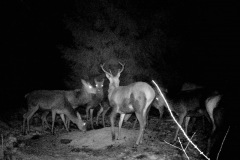 P12_T_TIME=1494,FG=442499072,FT=-1532821504,NIR=1,GM=0,CDS = 2,CT=1,EV=128,TY=59,PY=92,DY=31,GB=0xe,NY=160,AE(0,320,80,160,320),