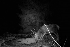 P12_T_TIME=1494,FG=442499072,FT=-1532821504,NIR=1,GM=0,CDS = 2,CT=1,EV=128,TY=59,PY=92,DY=20,GB=0xa,NY=160,AE(0,320,80,160,320),