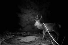 P12_T_TIME=1494,FG=442499072,FT=-1532821504,NIR=1,GM=0,CDS = 2,CT=1,EV=128,TY=59,PY=92,DY=27,GB=0xb,NY=160,AE(0,320,80,160,320),