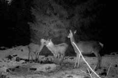 P12_T_TIME=1494,FG=442499072,FT=-1532821504,NIR=1,GM=0,CDS = 2,CT=1,EV=128,TY=59,PY=92,DY=37,GB=0x17,NY=160,AE(0,160,80,160,320)