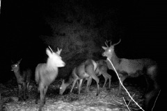 P12_T_TIME=1494,FG=442499072,FT=-1532821504,NIR=1,GM=0,CDS = 2,CT=1,EV=128,TY=59,PY=92,DY=24,GB=0x12,NY=160,AE(0,160,80,160,320)